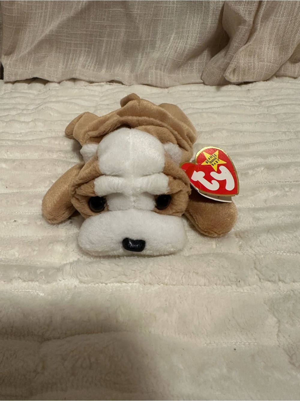 TY Beanie Baby Wrinkles